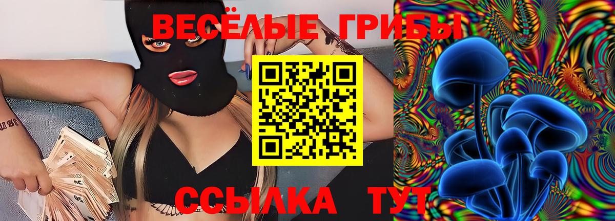 Черногорск  Галлюциногенные грибы MAGIC MUSHROOMS  Вход с VPN 